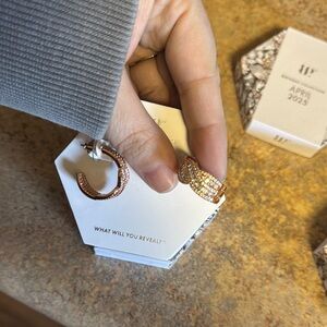 Elegant Gold Hoop Earrings